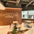The Coffee Bean & Tea Leaf - The Square JayaOne, Malaysia | Products seen: [Drift Side Chair - Rattan Back]